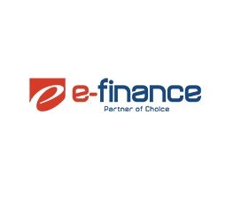 E-Finance